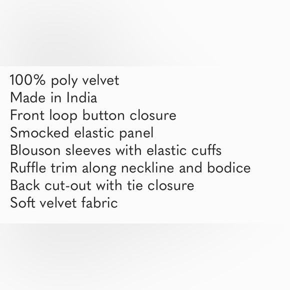 NWT Free People Dare Me Velvet Blouse - Picture 9 of 9